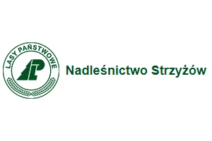 strzyzow.krosno.lasy.gov.pl